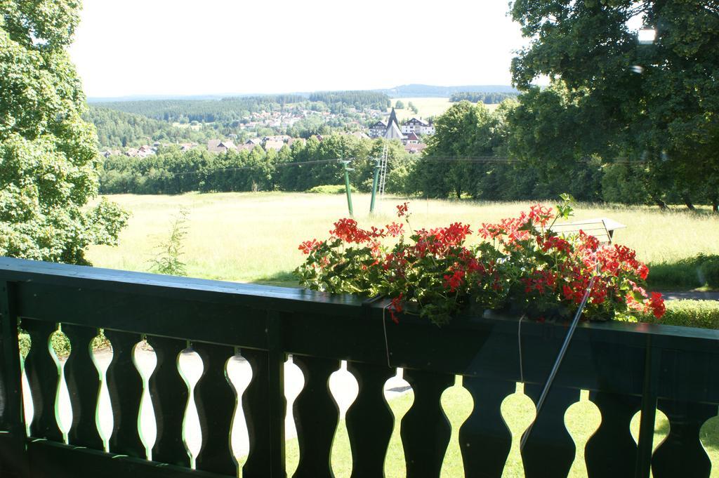Hotel Und Cafe Panorama 3*